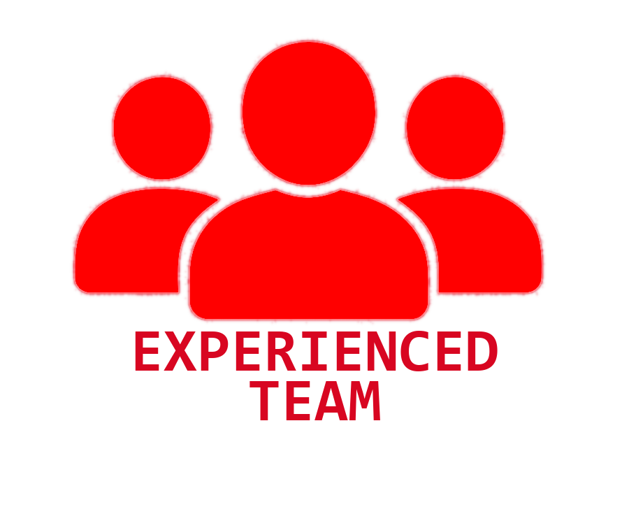 Experienced Team